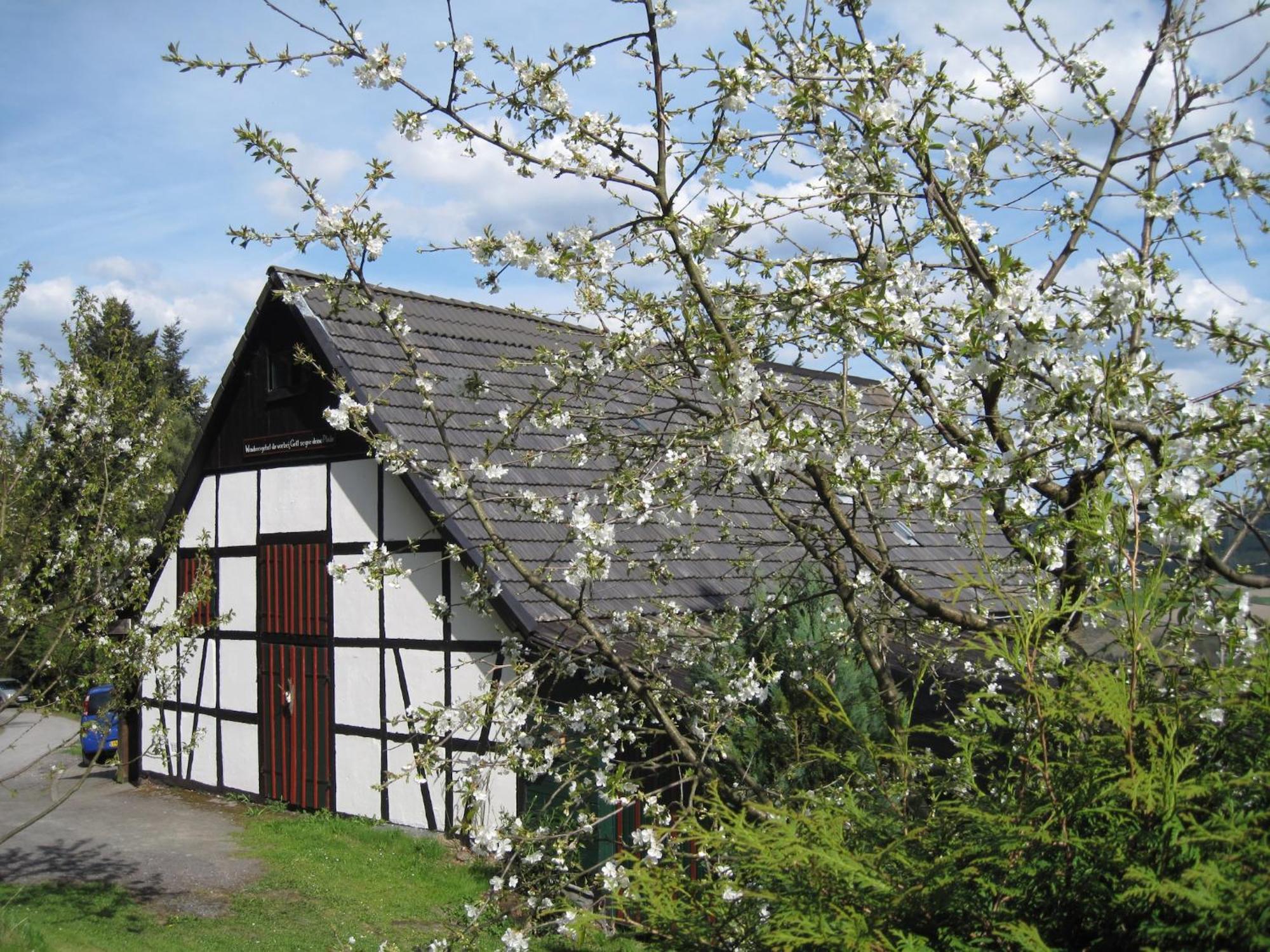 Spacious Holiday Home in Menkhausen near Ski Area Schmallenberg Exterior foto