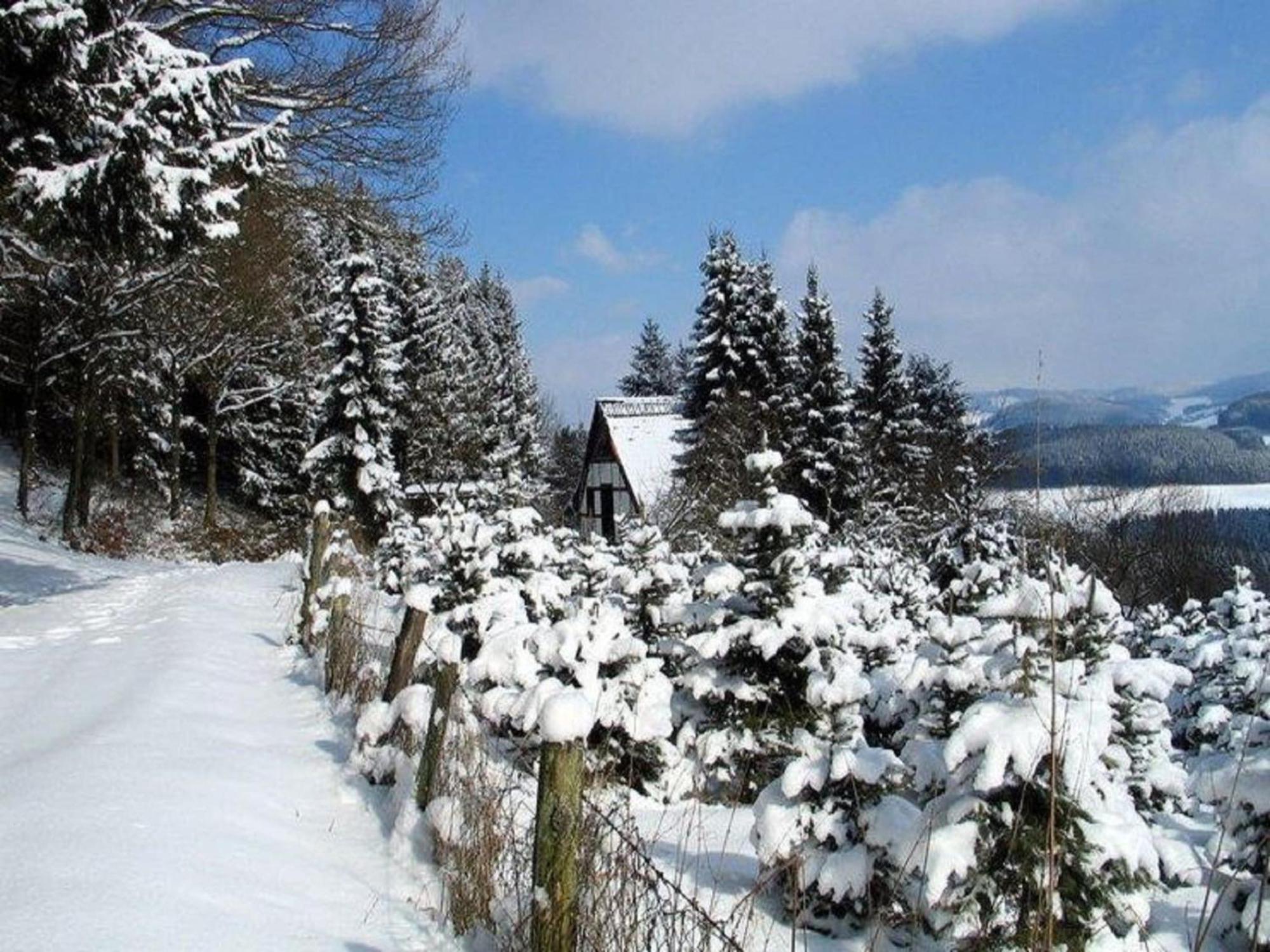 Spacious Holiday Home in Menkhausen near Ski Area Schmallenberg Exterior foto